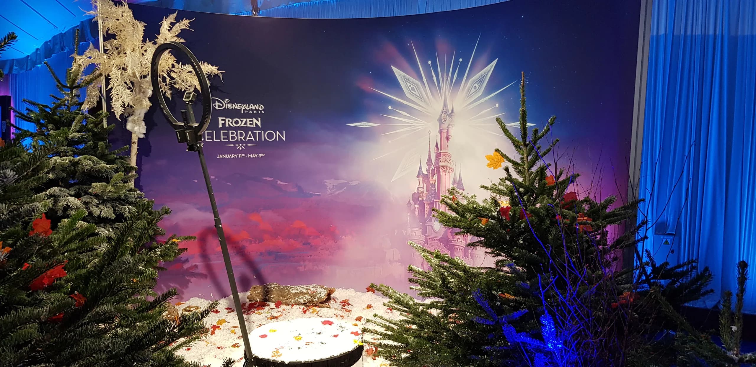 Disney — Disney – Animations vidéo immersives pour les lancements de films et événements Disney+ — photo 5