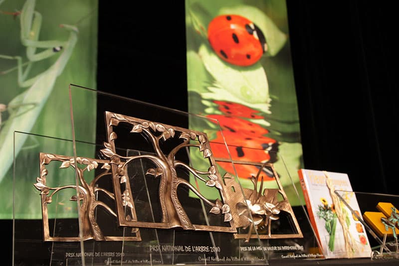 Trophées en bronze et verre du Prix national de l'arbre posés sur scène fleurie