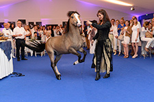 reportage-photo-deauville